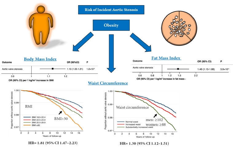 risk-factors-for-aortic-stenosis